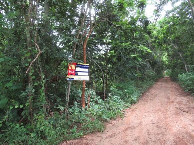 ใช่ 💖 ที่ดิน แม่แตง ราคาพิเศษ! 💖 รูปที่ 2