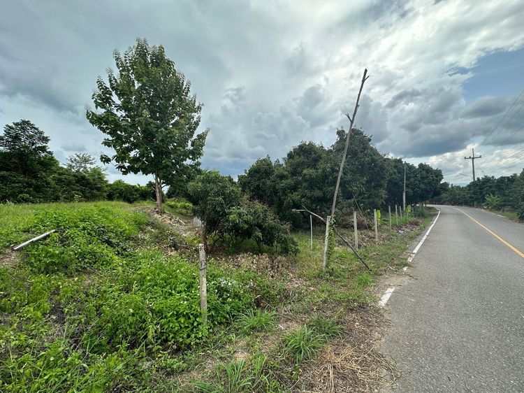 ใช่ 💖 ที่ดิน จอมทอง ราคาพิเศษ! 💖 รูปที่ 4