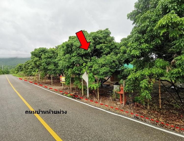 💖 ที่ดิน จอมทอง ราคาพิเศษ! 💖