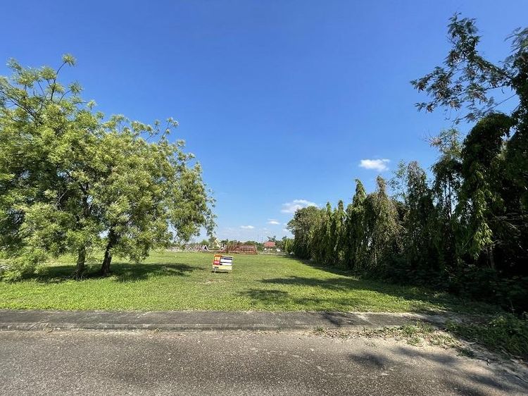 💖 ที่ดิน หางดง ราคาพิเศษ! 💖