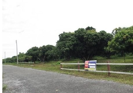 ใช่ 💖 ที่ดิน แม่สรวย ราคาพิเศษ! 💖 รูปที่ 4