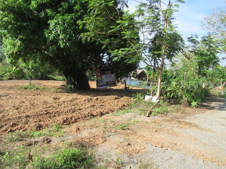 💖 ที่ดิน เวียงชัย ราคาพิเศษ! 💖