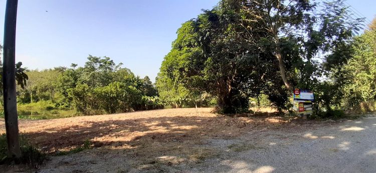 ใช่ 💖 ที่ดิน เวียงชัย ราคาพิเศษ! 💖 รูปที่ 2