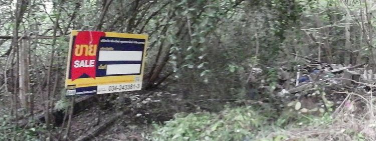 💖 ที่ดิน เมืองนครปฐม ราคาพิเศษ! 💖