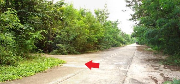 💖 ที่ดิน เมืองนครปฐม ราคาพิเศษ! 💖 รูปที่ 3