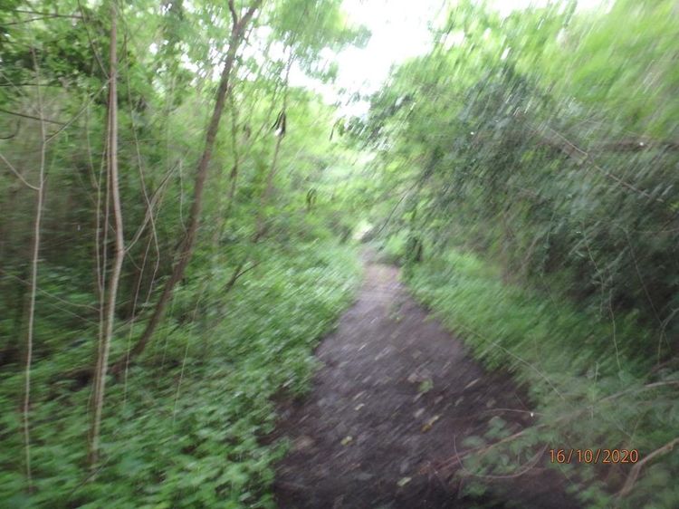 💖 ที่ดิน เมืองนครปฐม ราคาพิเศษ! 💖 รูปที่ 2