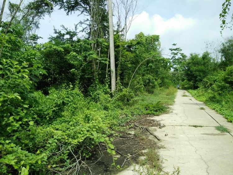 āđāļāđ ð āļāļĩāđāļāļīāļ āļāļāļĢāļāļąāļĒāļĻāļĢāļĩ āļĢāļēāļāļēāļāļīāđāļĻāļĐ! ð āļĢāļđāļāļāļĩāđ 2