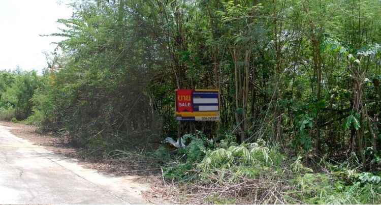 💖 ที่ดิน นครชัยศรี ราคาพิเศษ! 💖