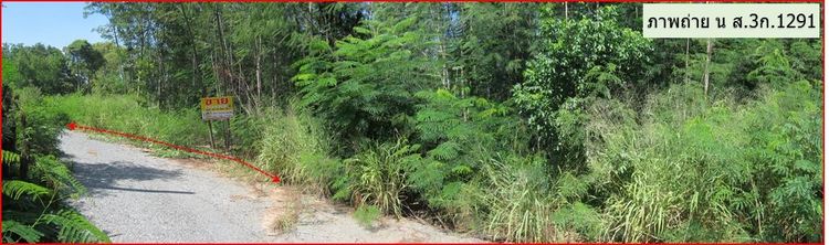 ใช่ 💖 ที่ดิน สีคิ้ว ราคาพิเศษ! 💖