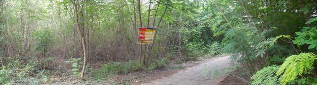 ใช่ 💖 ที่ดิน สีคิ้ว ราคาพิเศษ! 💖 รูปที่ 4