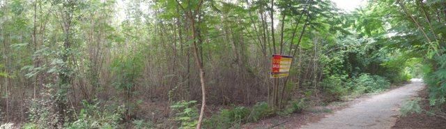 ใช่ 💖 ที่ดิน สีคิ้ว ราคาพิเศษ! 💖 รูปที่ 3