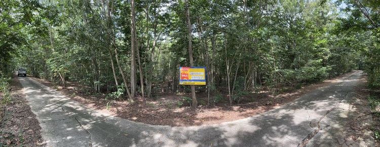 💖 ที่ดิน องครักษ์ ราคาพิเศษ! 💖