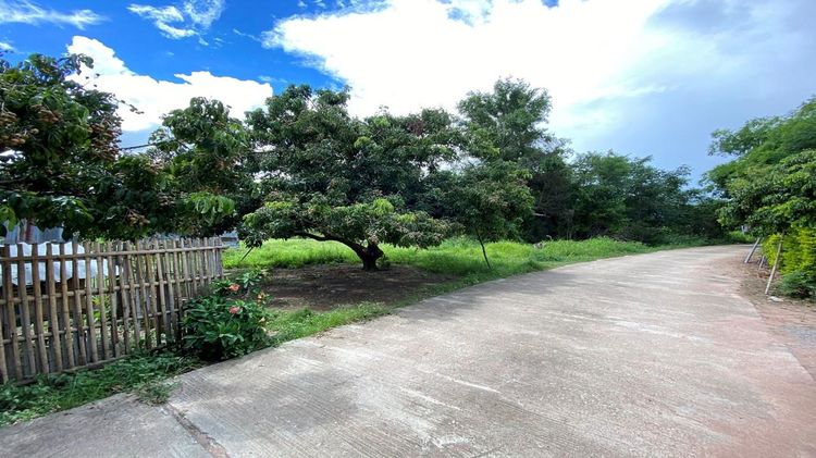 ใช่ 💖 ที่ดิน ป่าซาง ราคาพิเศษ! 💖 รูปที่ 4