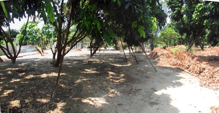 ใช่ 💖 ที่ดิน สามเงา ราคาพิเศษ! 💖 รูปที่ 3