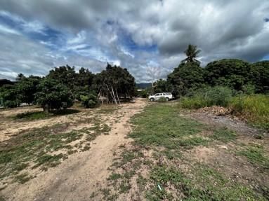 ใช่ 💖 ที่ดิน สามเงา ราคาพิเศษ! 💖 รูปที่ 2