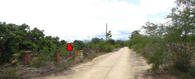 ใช่ 💖 ที่ดิน ดอยหล่อ ราคาพิเศษ! 💖 รูปที่ 4