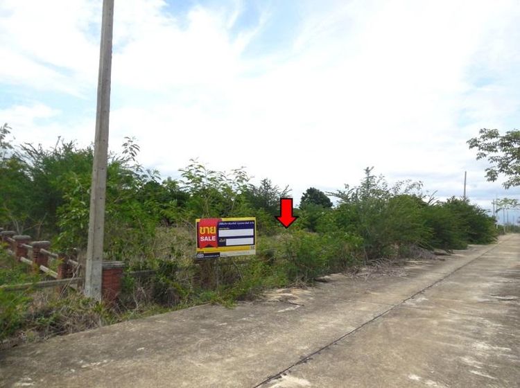 ใช่ 💖 ที่ดิน ดอยหล่อ ราคาพิเศษ! 💖 รูปที่ 2