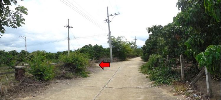 ใช่ 💖 ที่ดิน ดอยหล่อ ราคาพิเศษ! 💖 รูปที่ 4