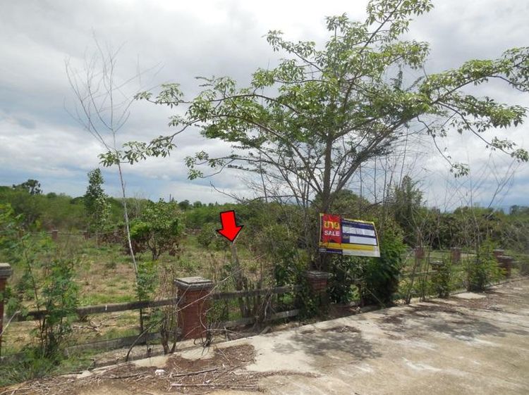 ใช่ 💖 ที่ดิน ดอยหล่อ ราคาพิเศษ! 💖 รูปที่ 2