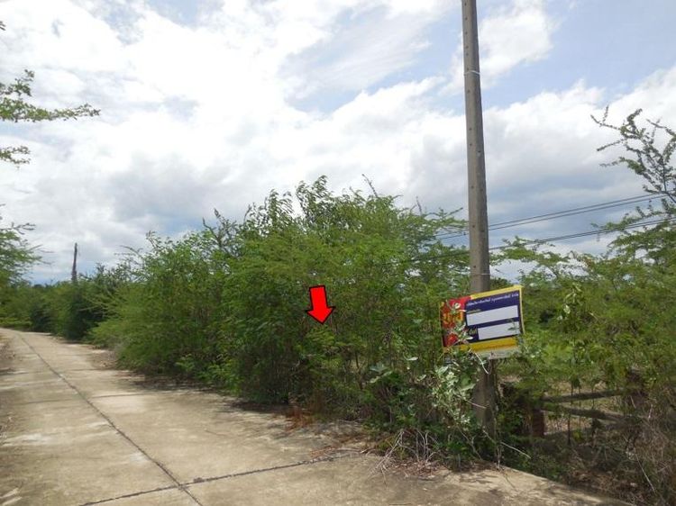 ใช่ 💖 ที่ดิน ดอยหล่อ ราคาพิเศษ! 💖 รูปที่ 3