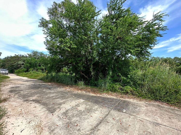 ใช่ 💖 ที่ดิน องครักษ์ ราคาพิเศษ! 💖 รูปที่ 4