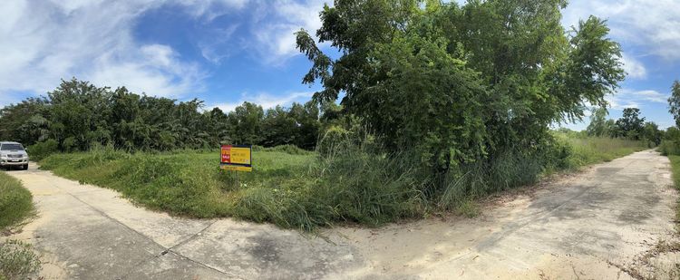 ใช่ 💖 ที่ดิน องครักษ์ ราคาพิเศษ! 💖 รูปที่ 3