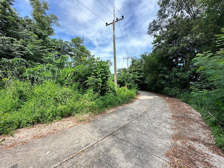 ใช่ 💖 ที่ดิน องครักษ์ ราคาพิเศษ! 💖 รูปที่ 3