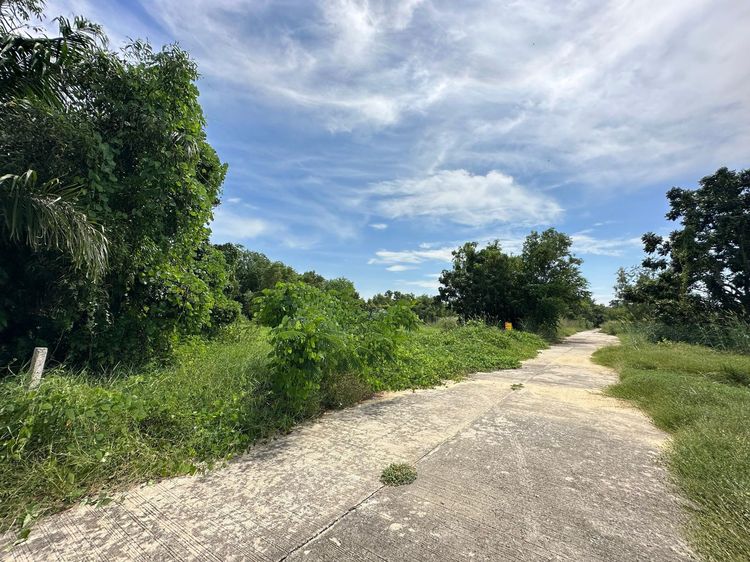 💖 ที่ดิน องครักษ์ ราคาพิเศษ! 💖