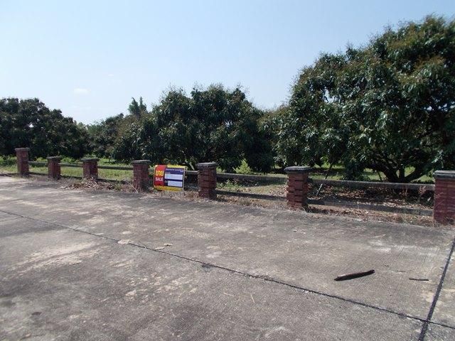 ใช่ 💖 ที่ดิน ดอยหล่อ ราคาพิเศษ! 💖