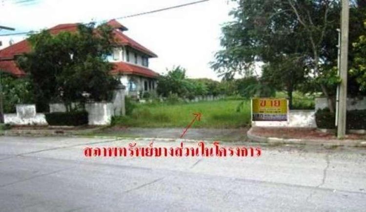 💖 ที่ดิน บางปะกง ราคาพิเศษ! 💖