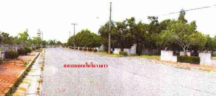 💖 ที่ดิน บางปะกง ราคาพิเศษ! 💖 รูปที่ 4