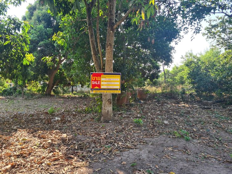 ใช่ 💖 บ้าน กุมภวาปี ราคาพิเศษ! 💖 รูปที่ 4