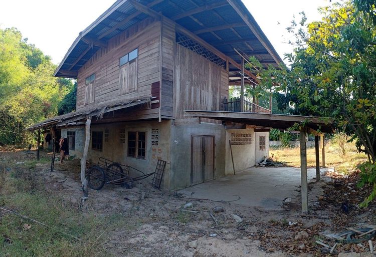 ใช่ 💖 บ้าน ป่าติ้ว ราคาพิเศษ! 💖 รูปที่ 3