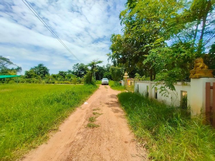 ใช่ 💖 บ้าน เมืองยโสธร ราคาพิเศษ! 💖 รูปที่ 2