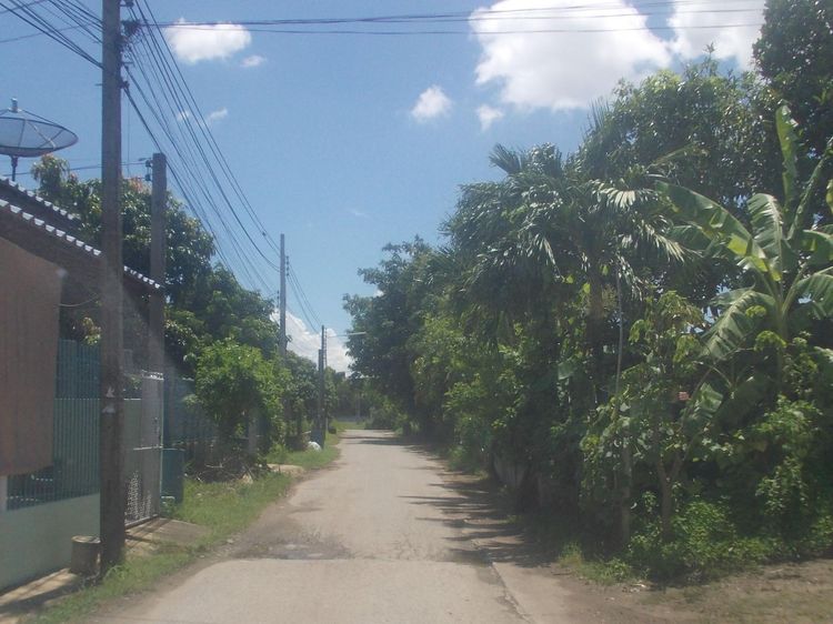 ใช่ 💖 บ้าน แปลงยาว ราคาพิเศษ! 💖 รูปที่ 4