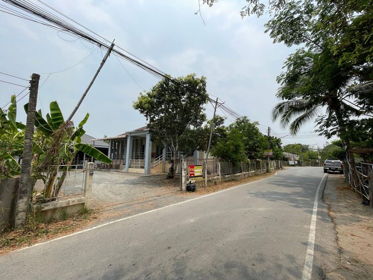 ใช่ 💖 บ้าน ดอยสะเก็ด ราคาพิเศษ! 💖 รูปที่ 2