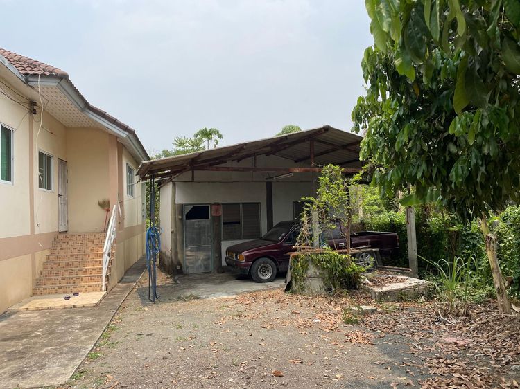 ใช่ 💖 บ้าน ดอยสะเก็ด ราคาพิเศษ! 💖 รูปที่ 3