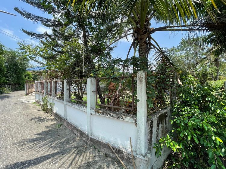 ใช่ 💖 บ้าน สันทราย ราคาพิเศษ! 💖 รูปที่ 3