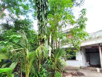 ใช่ 💖 บ้าน ดำเนินสะดวก ราคาพิเศษ! 💖 รูปที่ 4