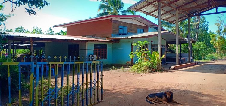 ใช่ 💖 บ้าน น้ำยืน ราคาพิเศษ! 💖 รูปที่ 4