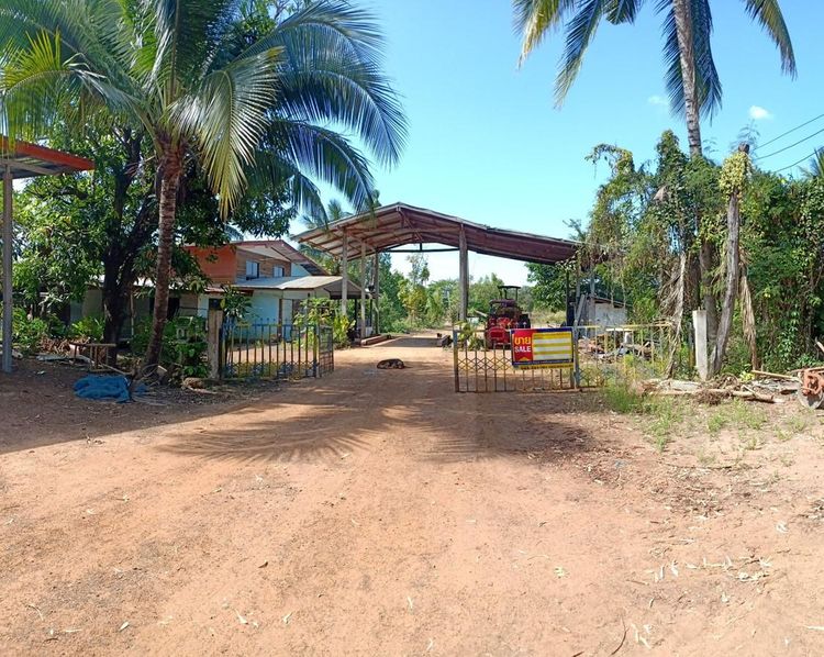 ใช่ 💖 บ้าน น้ำยืน ราคาพิเศษ! 💖 รูปที่ 3