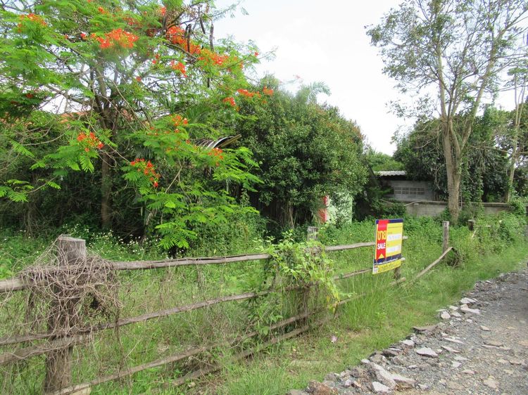 āđāļāđ ð āļāđāļēāļ āļ āļđāļāļēāļ āļĢāļēāļāļēāļāļīāđāļĻāļĐ! ð āļĢāļđāļāļāļĩāđ 2