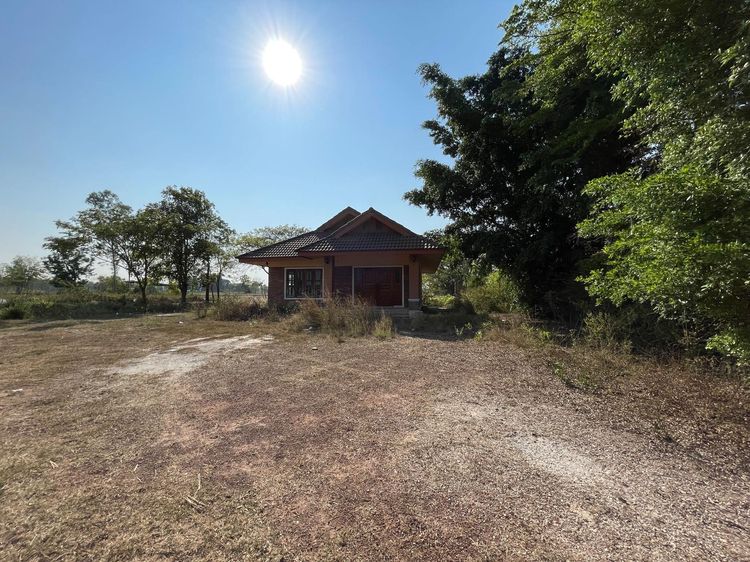 ใช่ 💖 บ้าน เมืองอุดรธานี ราคาพิเศษ! 💖 รูปที่ 4