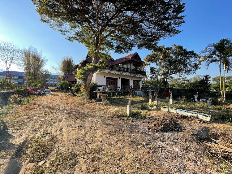 ใช่ 💖 บ้าน ปาย ราคาพิเศษ! 💖 รูปที่ 4