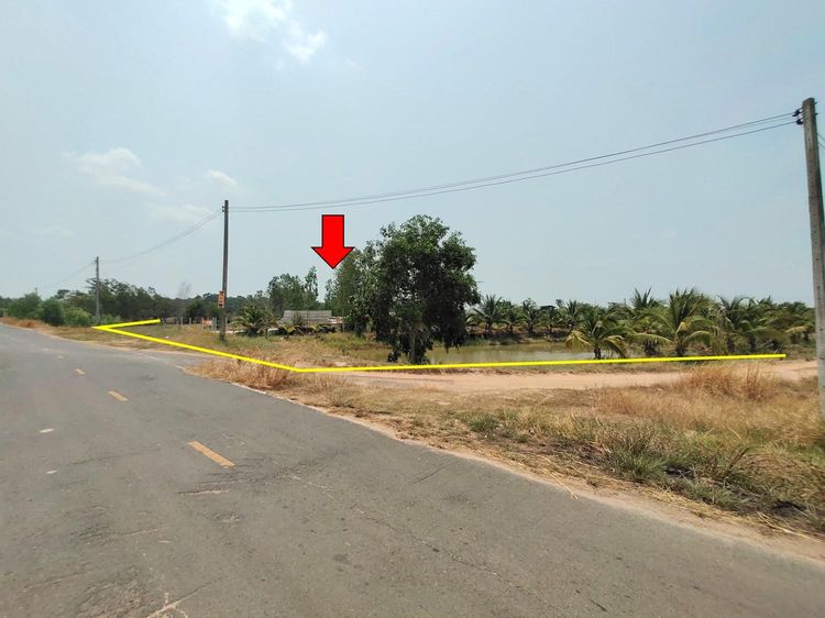 💖 บ้าน เขื่องใน ราคาพิเศษ! 💖