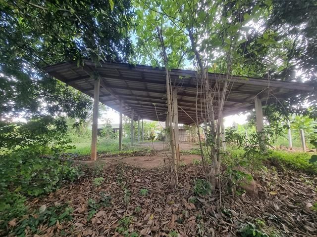 ใช่ 💖 บ้าน เมืองชัยนาท ราคาพิเศษ! 💖 รูปที่ 4