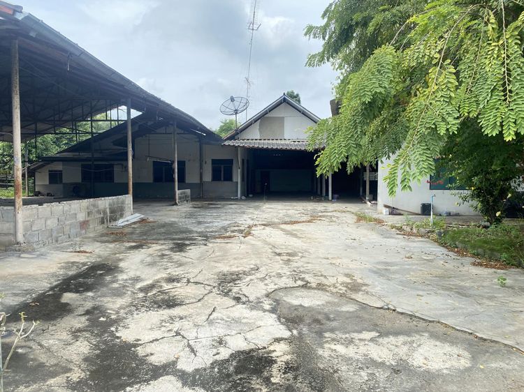 ใช่ 💖 บ้าน บ้านโป่ง ราคาพิเศษ! 💖 รูปที่ 3