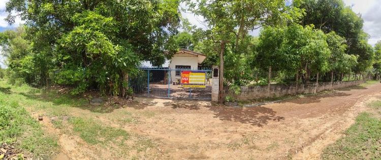 💖 บ้าน พิบูลมังสาหาร ราคาพิเศษ! 💖