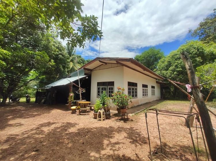 ใช่ 💖 บ้าน พิบูลมังสาหาร ราคาพิเศษ! 💖 รูปที่ 3