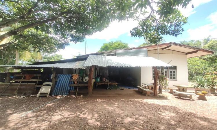 ใช่ 💖 บ้าน พิบูลมังสาหาร ราคาพิเศษ! 💖 รูปที่ 2